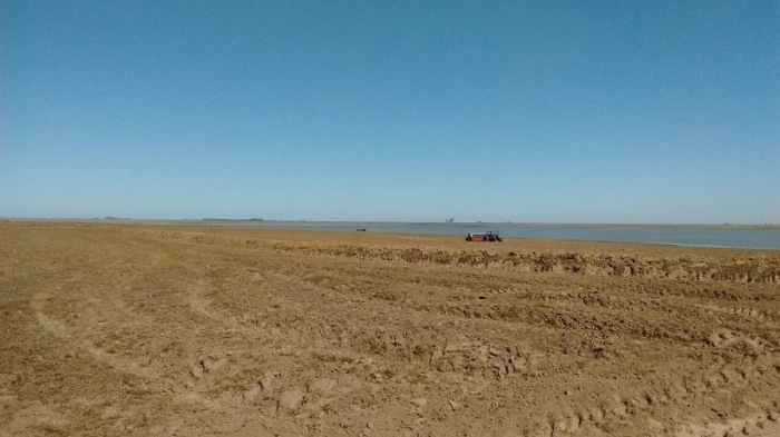  Falta menos de 10% para o fim do plantio do arroz no RS