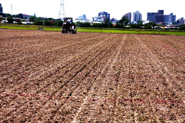  Faltam apenas 3% para o RS atingir a meta do plantio de arroz