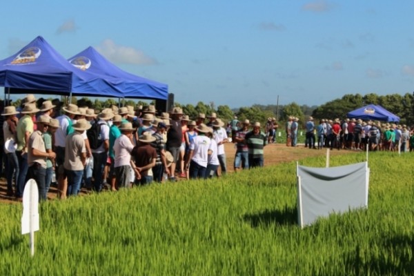  Dia de Campo recebe cerca de mil produtores na Região Central