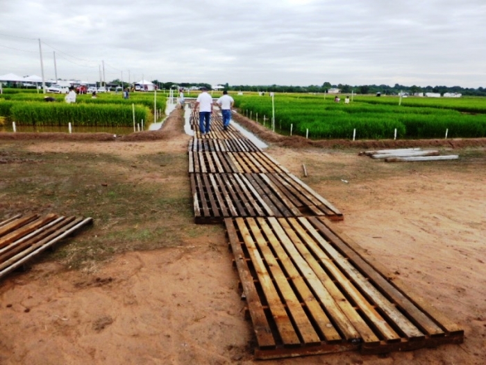  Irga apresentará roteiros em vitrines tecnológicas durante a abertura da colheita