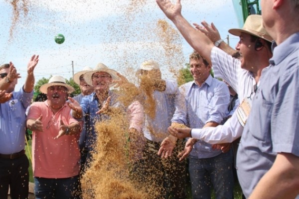  Dada a largada oficial para abertura da colheita do arroz no RS