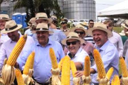  Governador participa do dia de campo e destaca a força do agronegócio catarinense