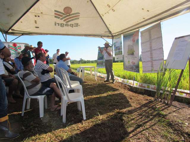  Manhã de Campo para Arroz Irrigado apresenta novidades