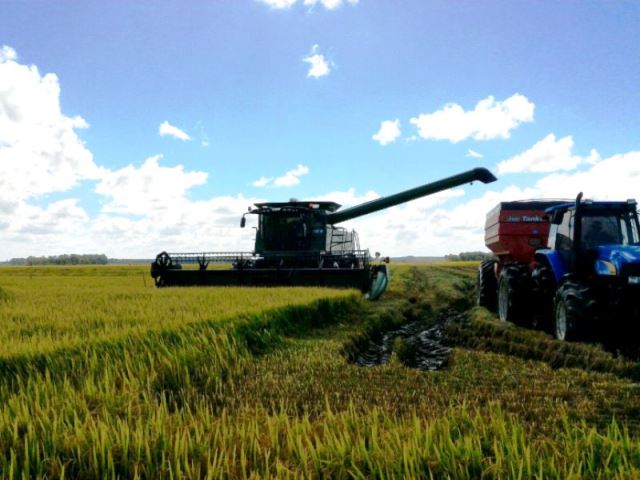  Produtores do RS já colheram 8,5 milhões de toneladas de arroz