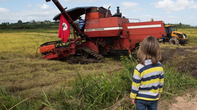  MST se torna o maior produtor de arroz orgânico da América Latina