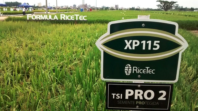  RiceTec oferece benefícios na compra antecipada de sementes