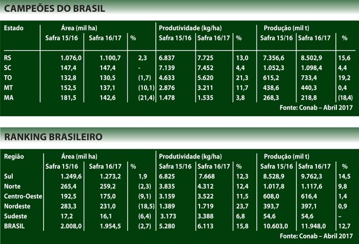  Queda no sequeiro