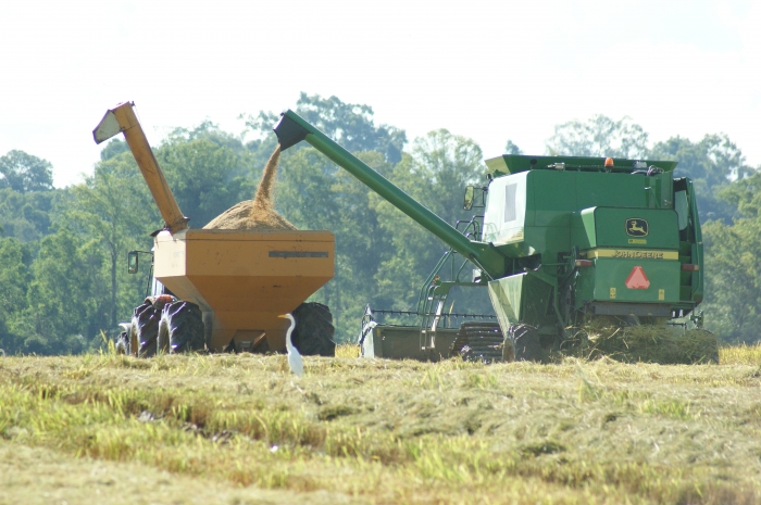  Redução de área só depende do Brasil