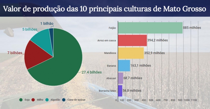  Quatro culturas respondem por 94% do valor da produção da agricultura de MT