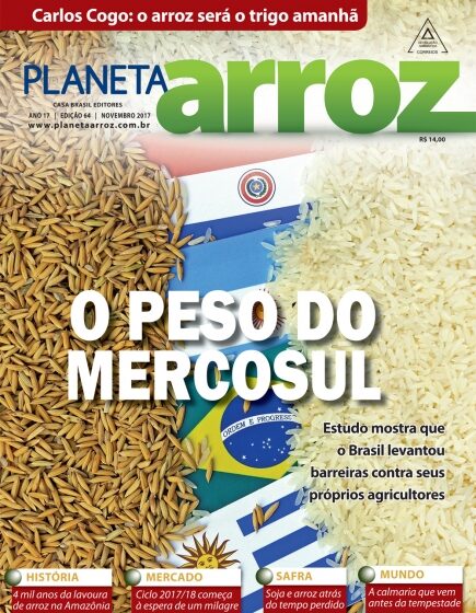  Brasil impôs barreiras aos seus arrozeiros