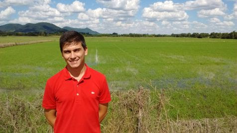  Estudo vai identificar qual produtividade de arroz traz máximo lucro