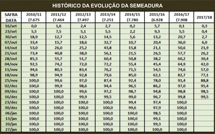  Semeadura do arroz está praticamente concluída no Estado