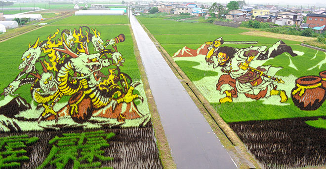  Vilarejo atrai turistas com pinturas gigantes nos campos de arroz