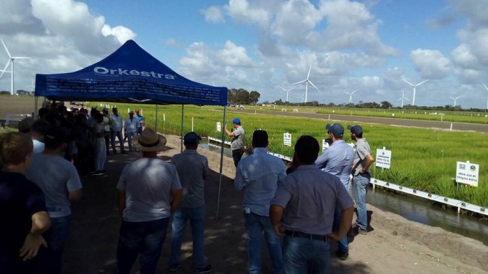  Dia de Campo Regional da Zona Sul reúne 350 participantes