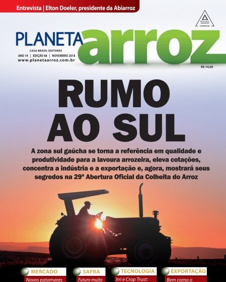  O sul gaúcho pauta as ações do arroz em 2018/19