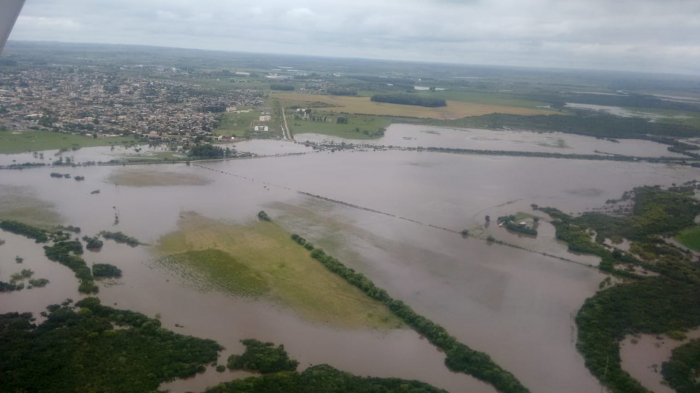  Gaúchos deverão colher área muito inferior a um milhão de hectares no arroz