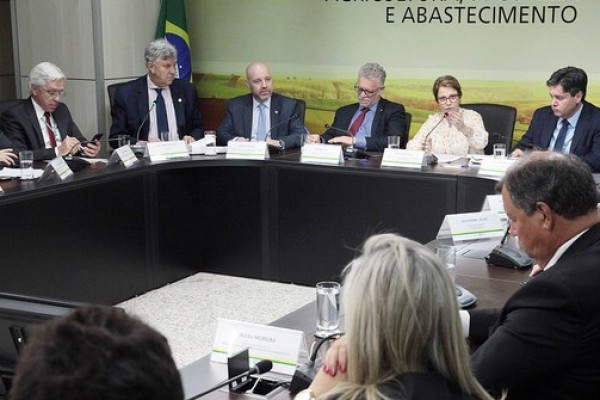  Tereza Cristina se reúne com arrozeiros e diz que tentará resolver problemas do setor