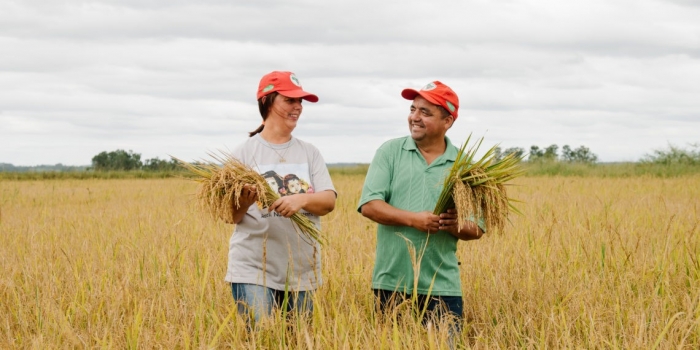  Nova Santa Rita comemora Festa da Colheita do Arroz Agroecológico nesta sexta