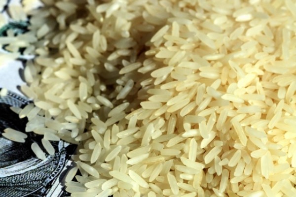  Arroz marca leve alta de preços em pleno pico de safra