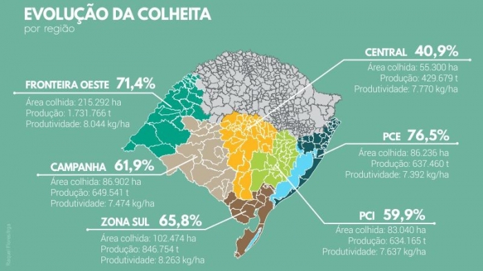  Colheita do arroz alcança 64% da área no RS