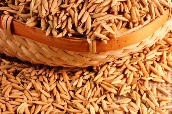  Estoque privado somou 646,8 mil toneladas de arroz