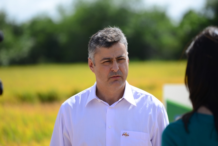  Arrozeiros gaúchos reagem ao “Arroz da Gente”