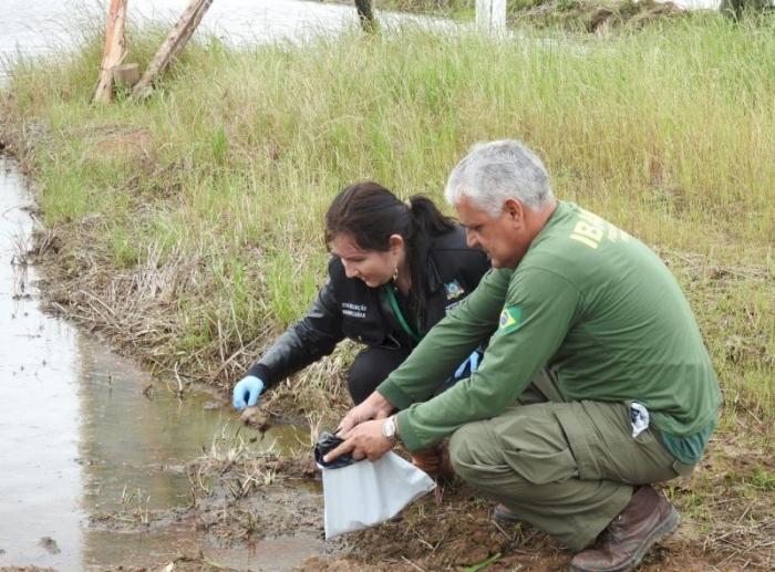  Agrotóxicos proibidos são encontrados em lavouras de arroz na região