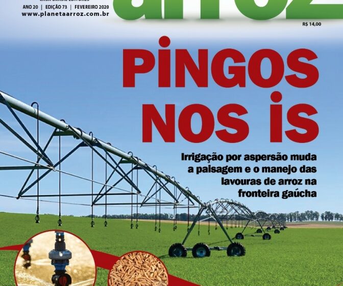  Planeta Arroz desvenda os segredos da irrigação por pivô em arroz