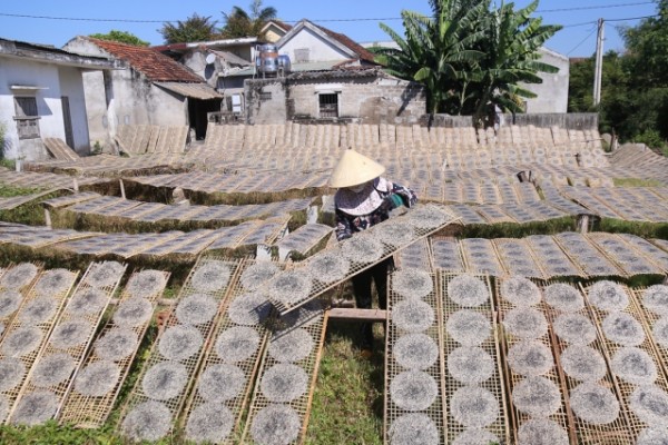  Fabricação de papel de arroz sob o sol escaldante do Vietnã
