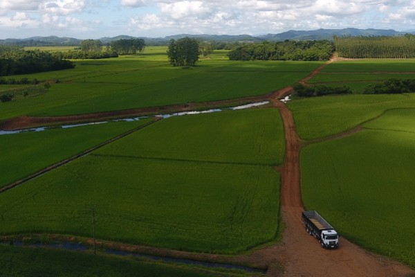  Epagri conclui mapeamento da área de arroz por imagens de satélite