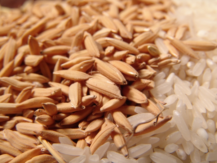  Exportações de arroz em 2020/21 foram as maiores dos últimos 9 anos
