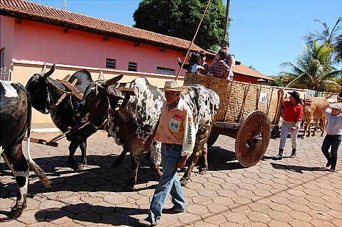  2ª Festa do Arroz põe Caturaí no mapa da produção agrícola (GO)
