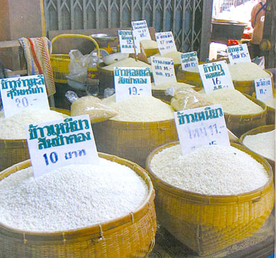  Jasmine é opção exótica no mercado de arroz