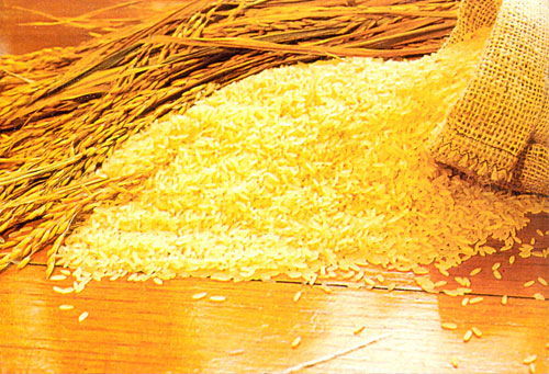  Mercado & Política do arroz