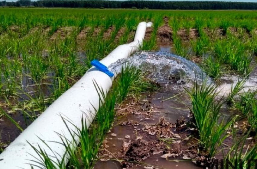 Há preocupação com a recarga escassa ou nula da irrigação devido à falta de chuvas