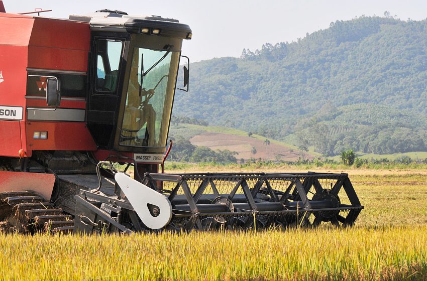 Produção de grãos atinge recorde com 350,2 milhões de toneladas na safra 2024/25