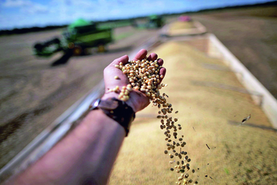  Mercado da soja:  o clima alterou tudo