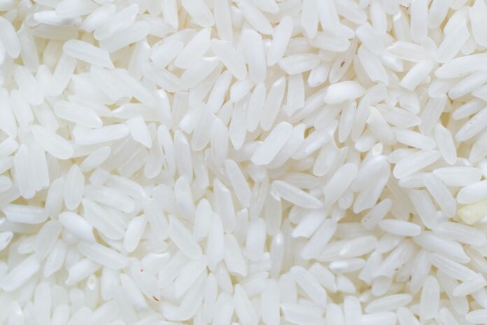  Cultivo de arroz podría desaparecer de Guatemala en un año