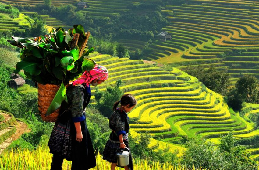  Terraços de arroz serão reabertos aos turistas em dezembro nas Filipinas