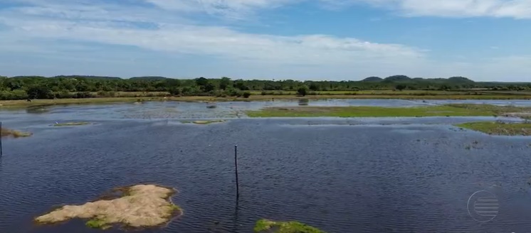  Chuvas alagam plantações de arroz e causam prejuízos no Norte do Piauí