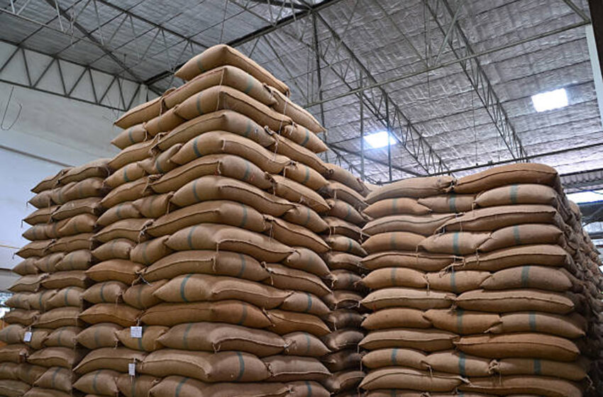  EUA criticam exportações de arroz da Índia na OMC por violação de acordos comerciais