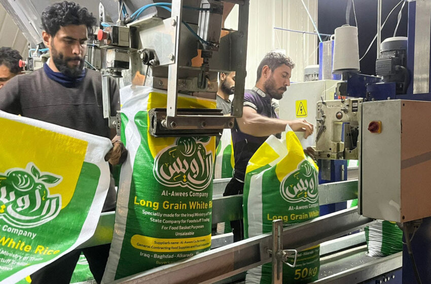  EUA: Vendas de arroz ao Iraque são bem-sucedidas