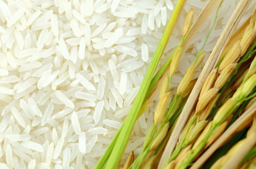  Preços altos do arroz marcaram os 45 primeiros dias do ano no mundo