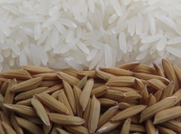  Brasil confirma venda de 30 mil t de arroz para o México