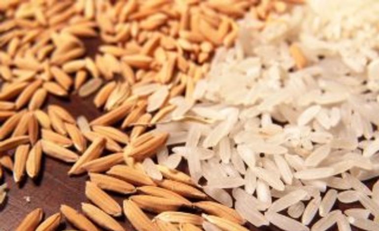  Falta de contêineres e câmbio afetam exportações de arroz em abril, diz Abiarroz
