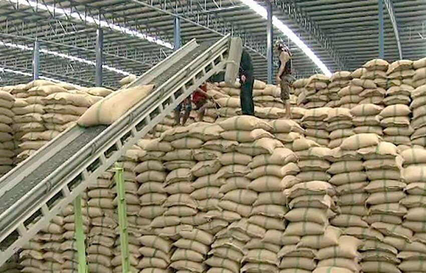  Crise Rússia-Ucrânia: Tailândia procura outros mercados para exportar arroz