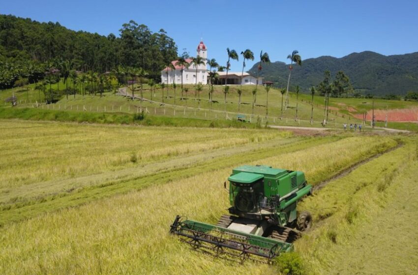  Prefeitura de Camboriú realiza encontro de integração entre os rizicultores