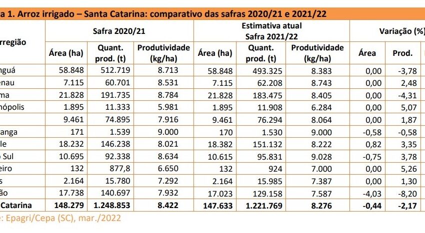  Preços em Santa Catarina mantiveram forte tendência de alta