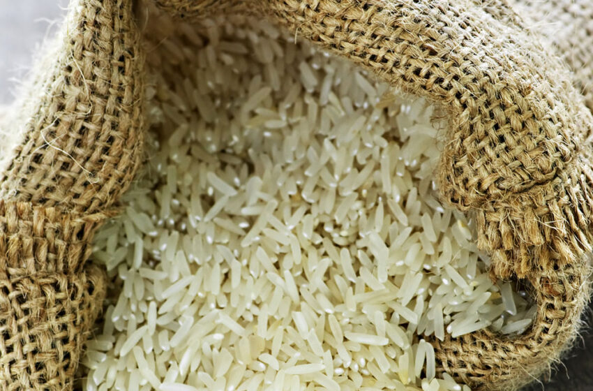  Bangladesh assina MoU para importar arroz da Tailândia