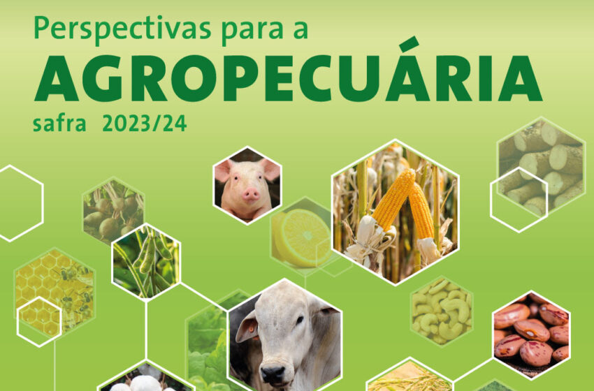  Conab apresenta Perspectivas para a Agropecuária Safra 2023/24 nesta terça-feira